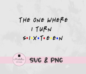 The One Where I Turn Sixteen