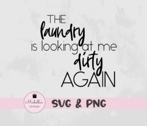 The Laundry Is Looking at Me Dirty Again